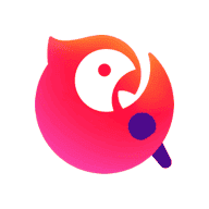 老司机“在线开车”网APP应用